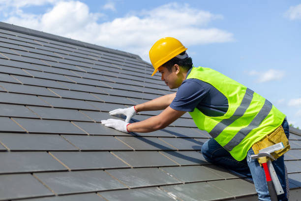 Roof Gutter Cleaning in St Joseph, MN