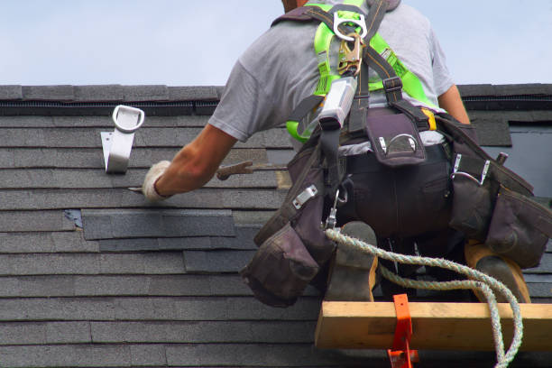 Best Roof Gutter Cleaning  in St Joseph, MN