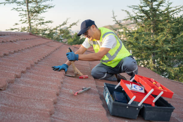 Best Flat Roof Repair Services  in St Joseph, MN