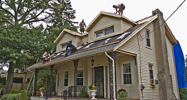 Best Best Roofing Contractors  in St Joseph, MN